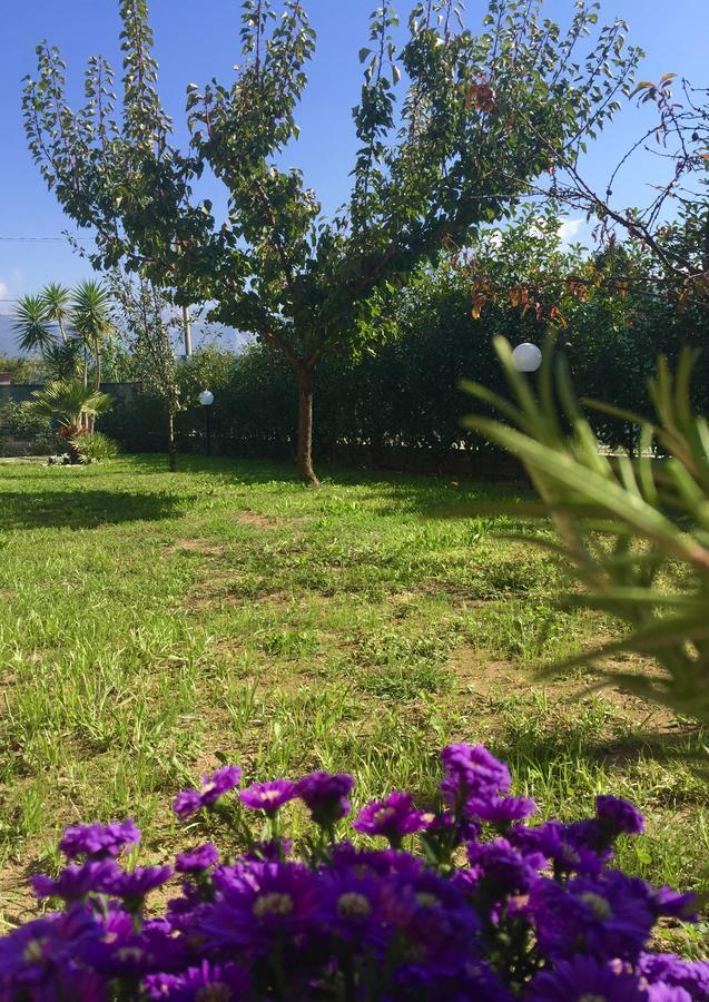 Bba2Passi Bed and Breakfast Marina di Massa Exterior foto